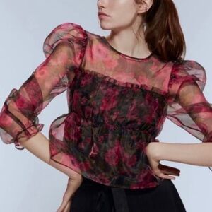Zara Blogger Favorite Floral Organza Sheer Witchy Puff Sleeve Frilly Blouse S
